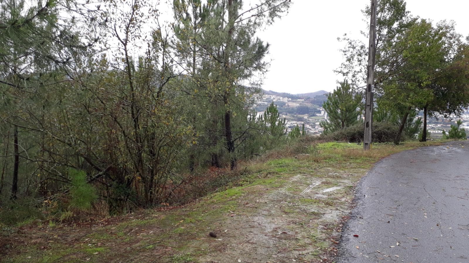 Terreno · Vizela — imagem 3