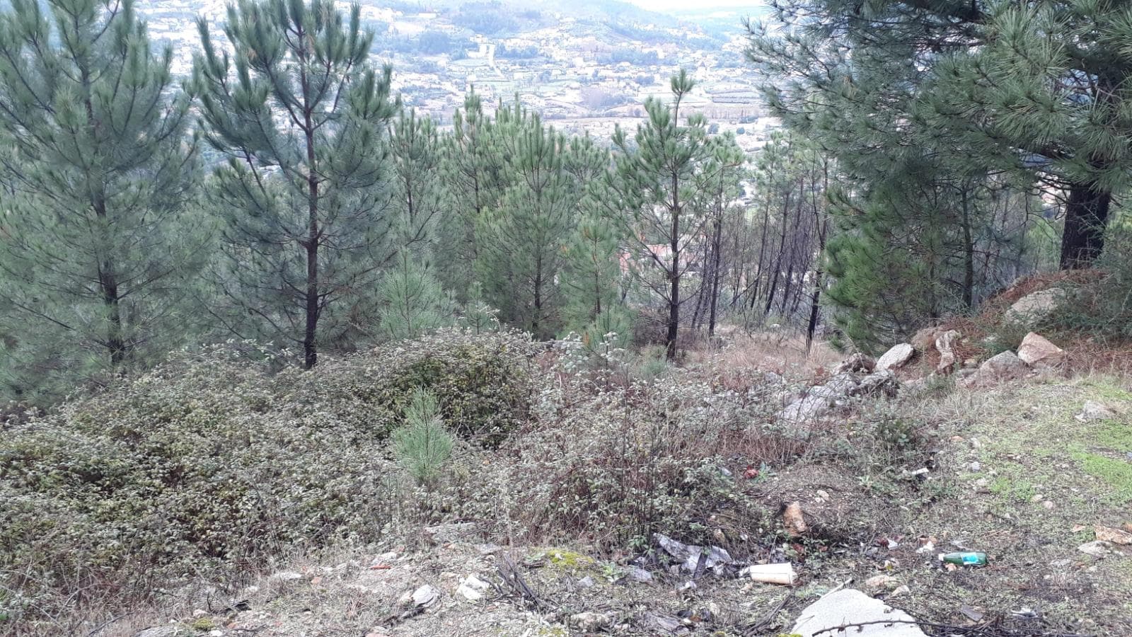 Terreno · Vizela — imagem 4