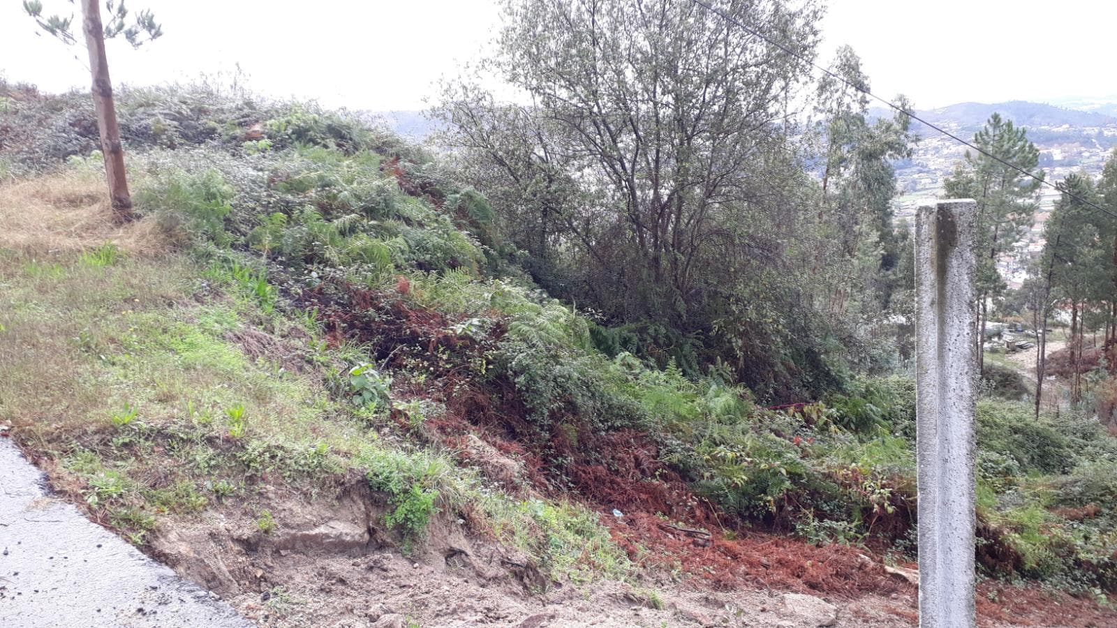 Terreno · Vizela — imagem 5