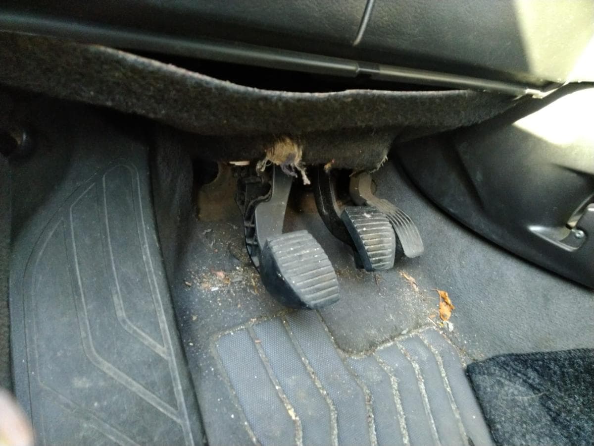 Peugeot 307 SW 1.4 HDI — imagem 7