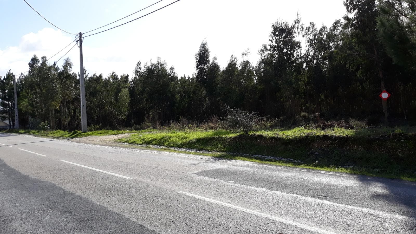 Terrenos · Leiria — imagen 1