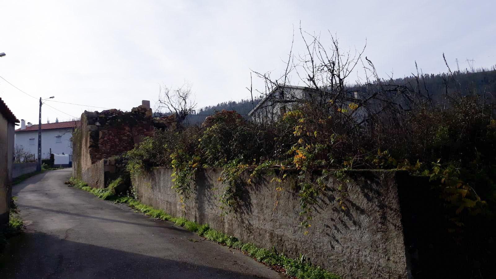 1/3 Moradia (Ruínas) · Penacova - Coimbra — imagen 3