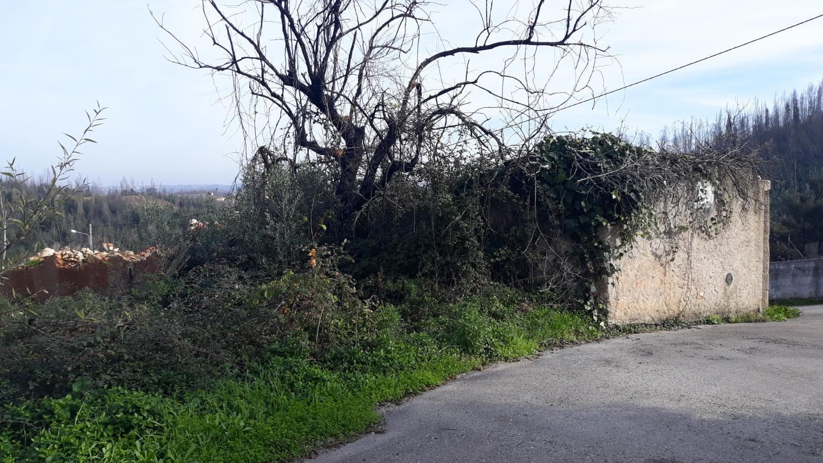 1/3 Moradia (Ruínas) · Penacova - Coimbra — imagen 4