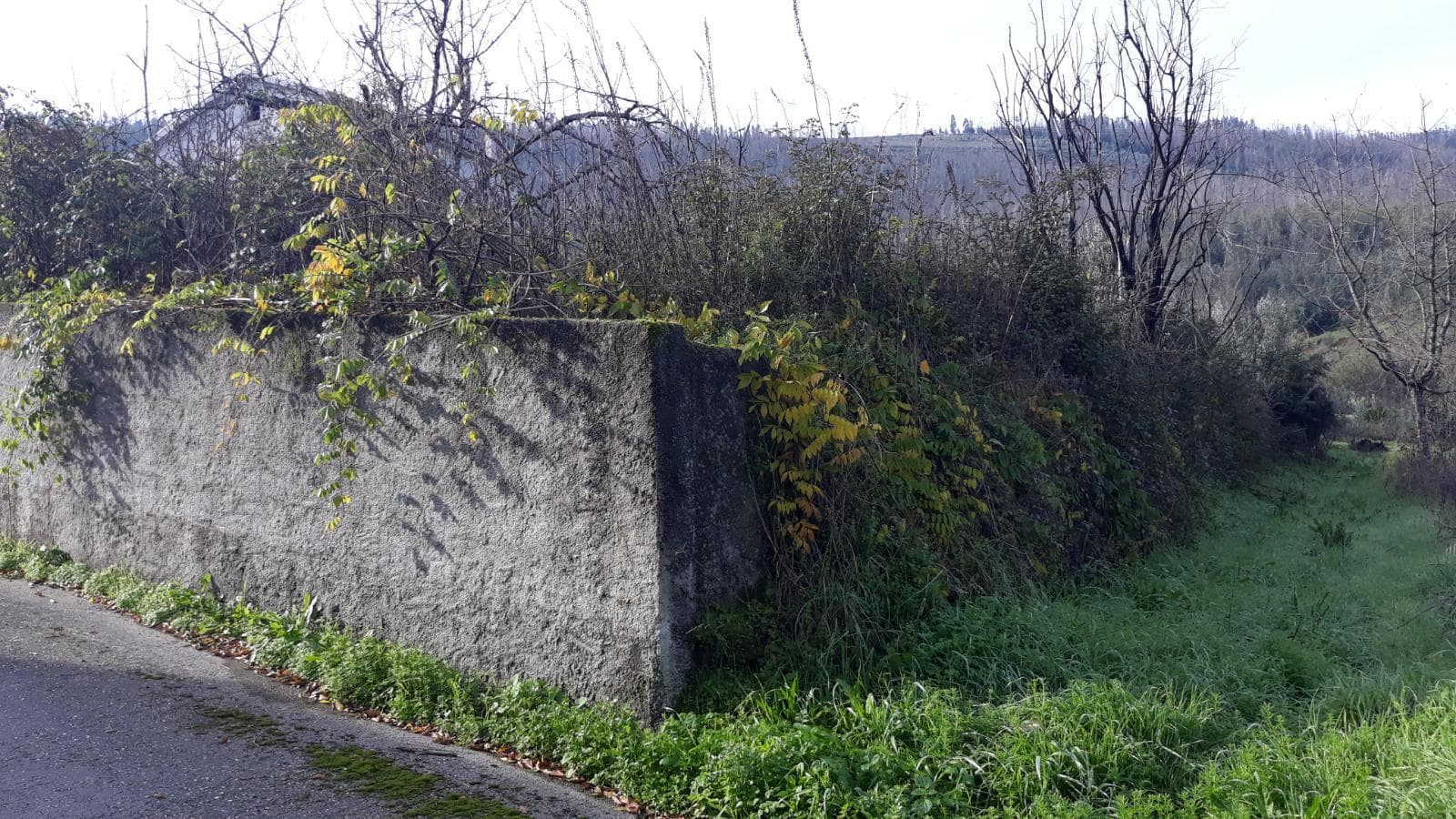 1/3 Moradia (Ruínas) · Penacova - Coimbra — imagen 5