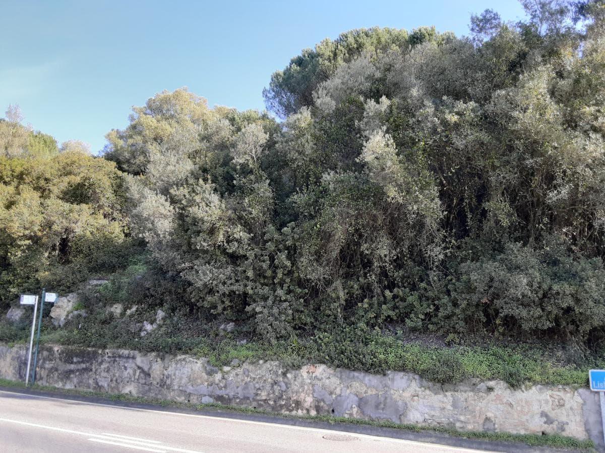 Proporção de 1/3 de Lote para Construção · Amadora — image 1