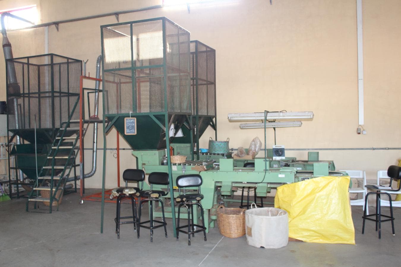 Tapete de escolha — image 1