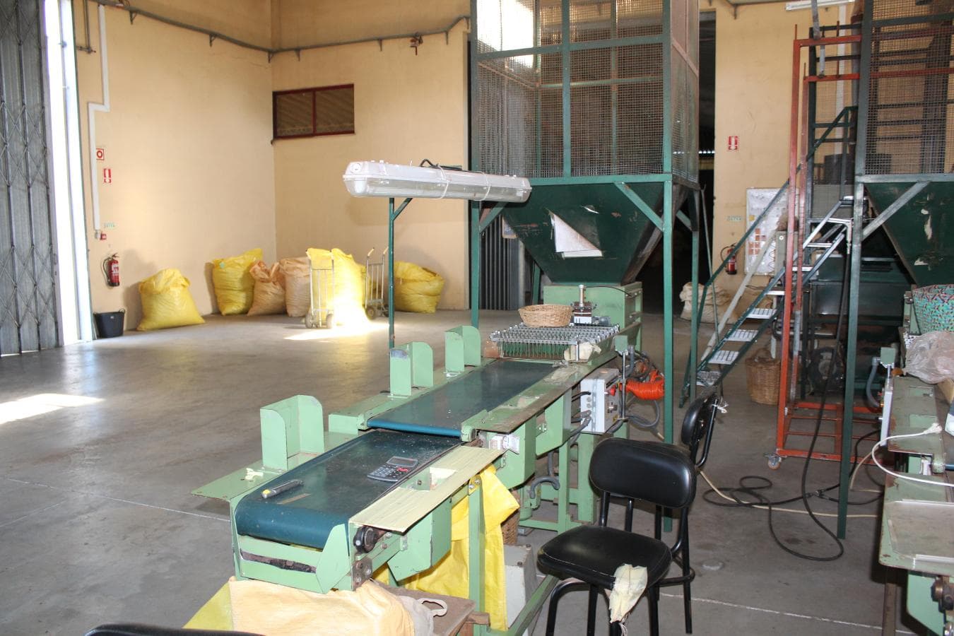 Tapete de escolha — image 2