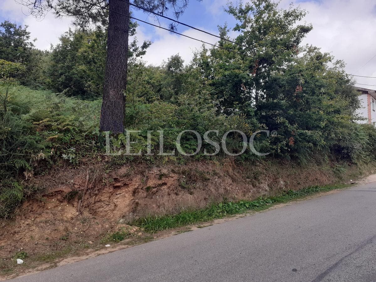 Terreno · Oliveira de Azeméis — imagem 1
