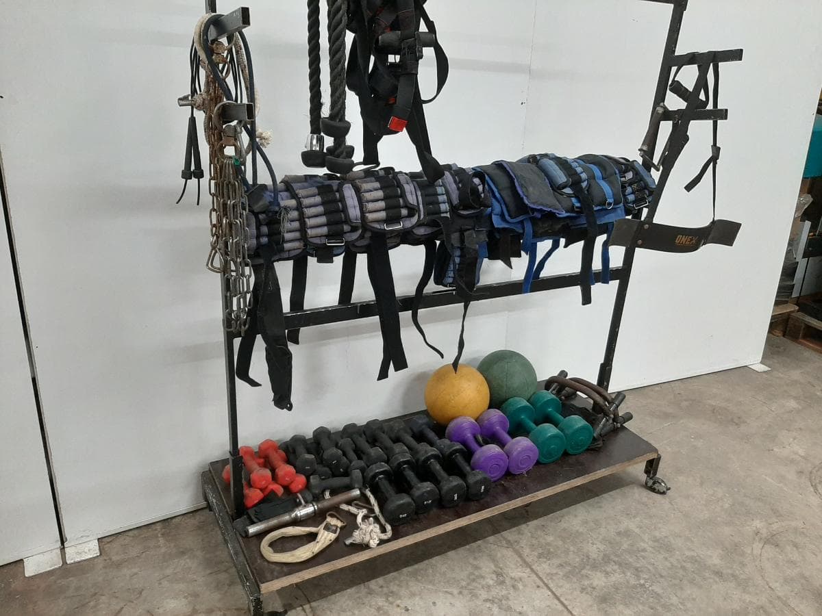 Equipamiento de Gimnasio — imagen 4