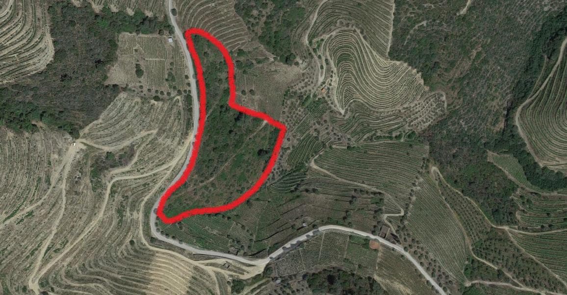 Nua Propriedade de Terreno  · Alijó — imagem 4