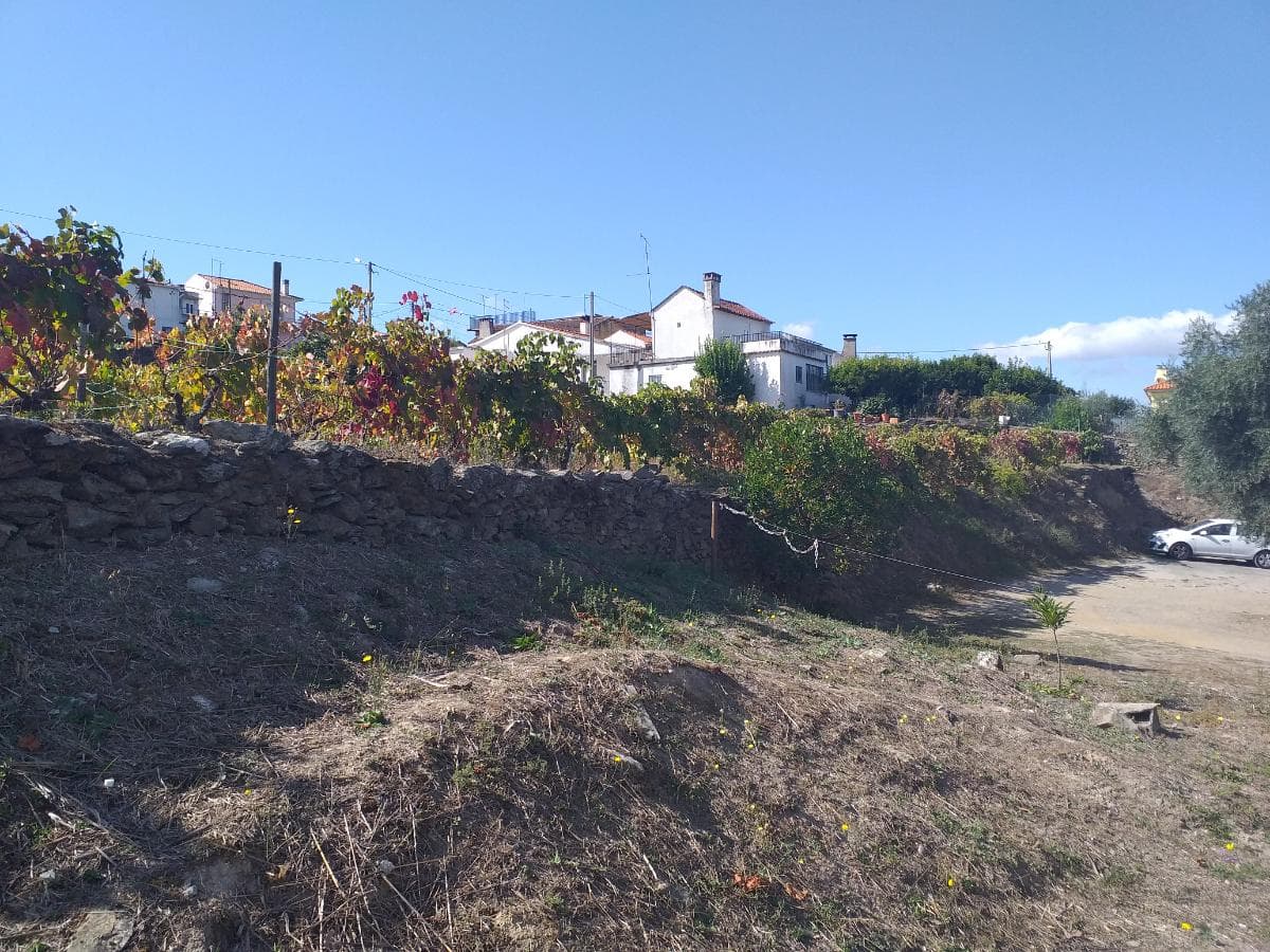 Nua propriedade de Terreno · Alijó — image 2