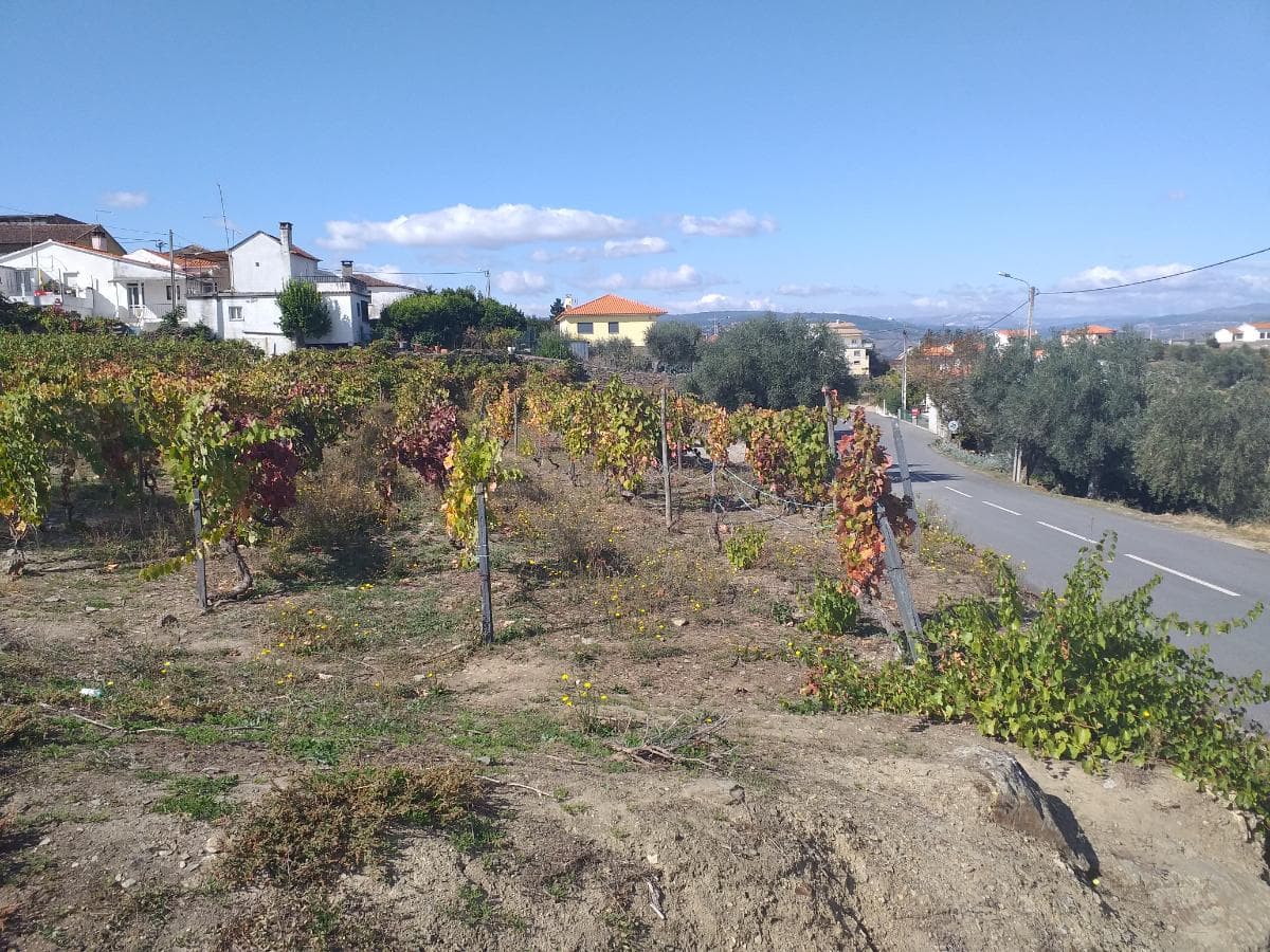 Nua propriedade de Terreno · Alijó — image 3