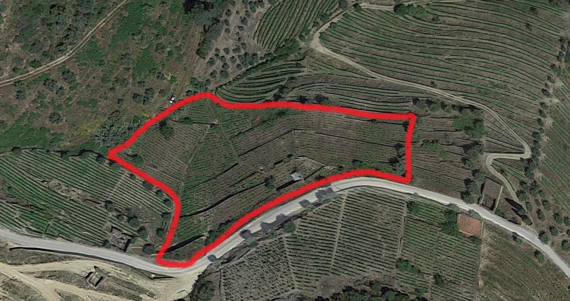 Nua propriedade de Terrenos · Alijó — imagen 8