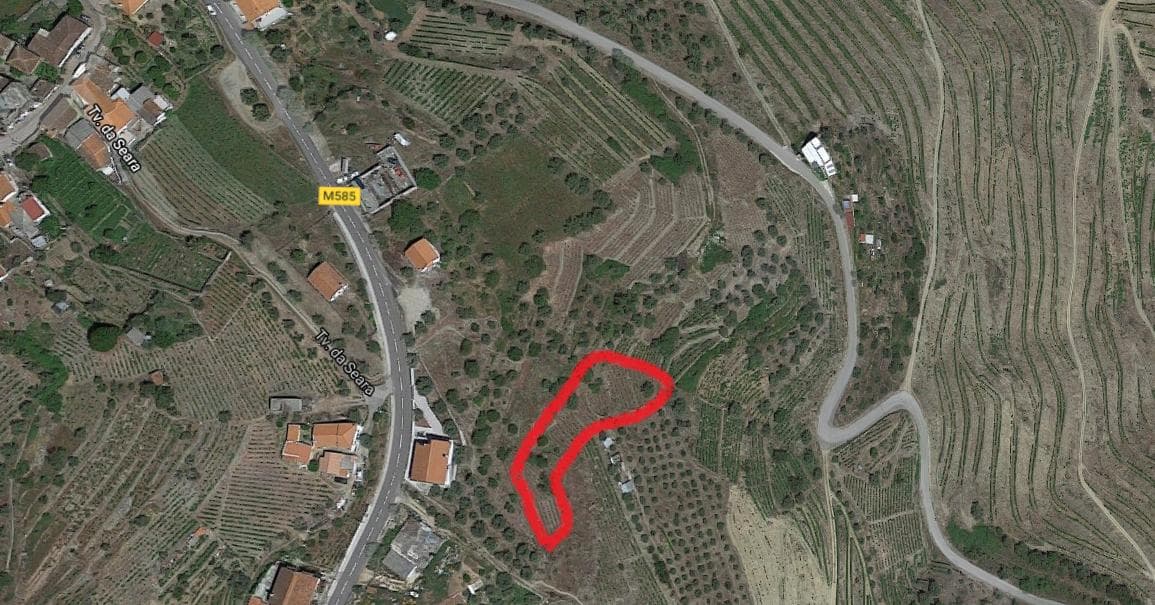 Nua propriedade de Terreno · Alijó — imagen 4