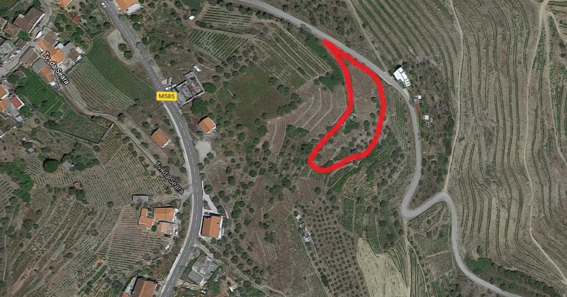 Nua propriedade de Terreno · Alijó — imagem 3