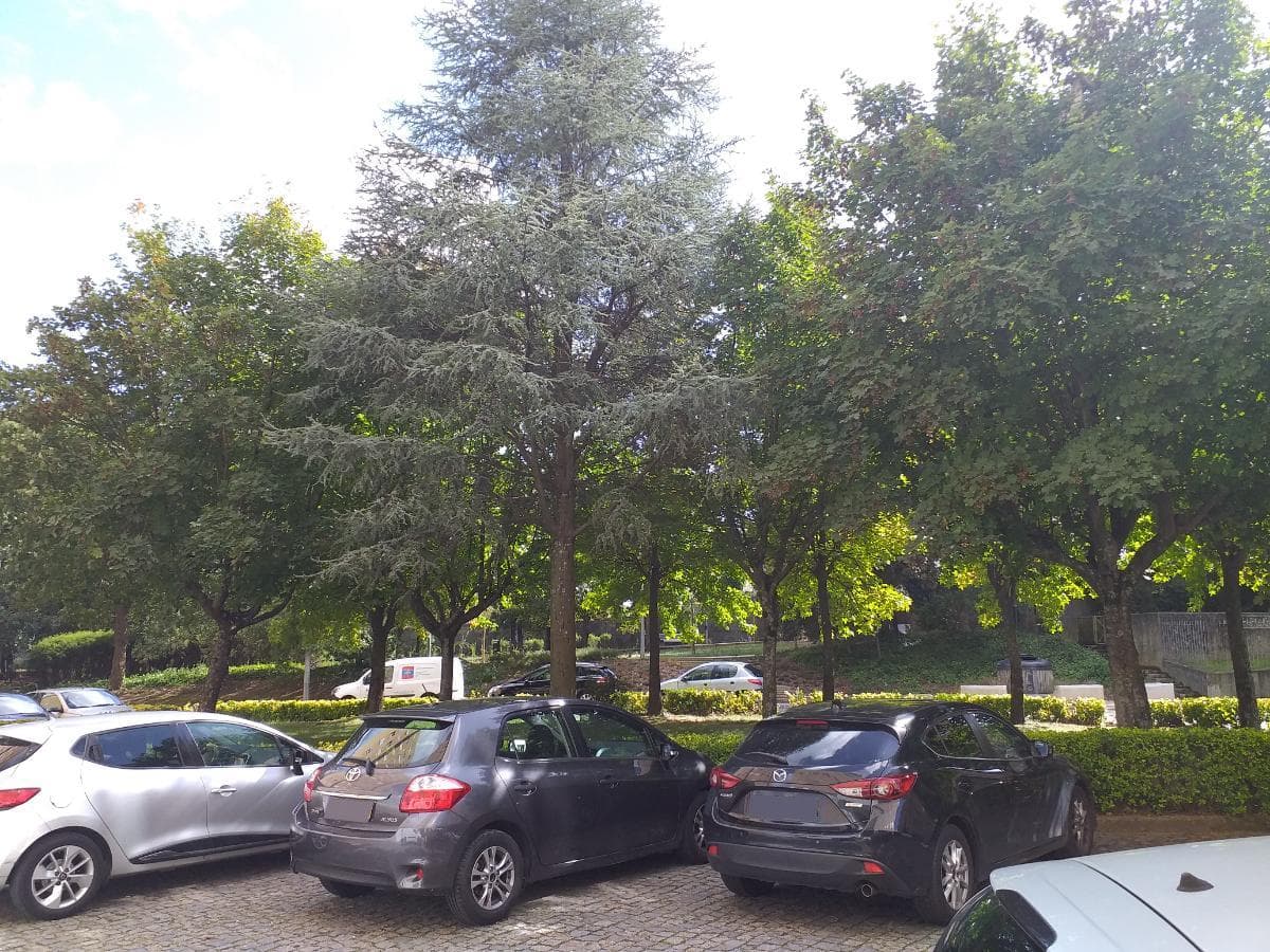 Apartamento T2 · Maia — imagem 15