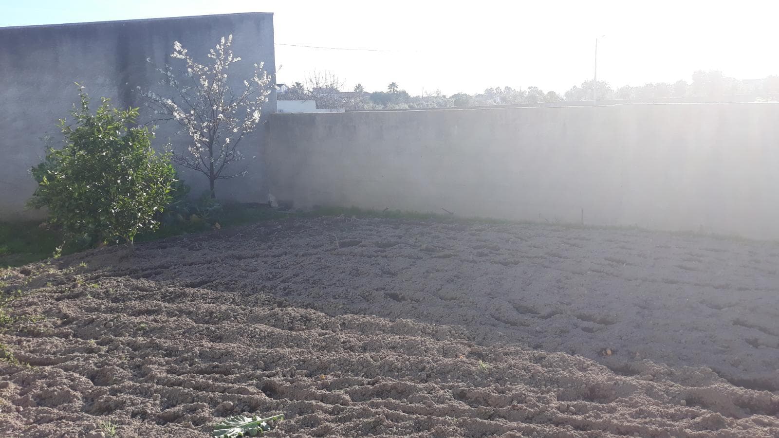 Moradia V2 · Castelo Branco — image 14