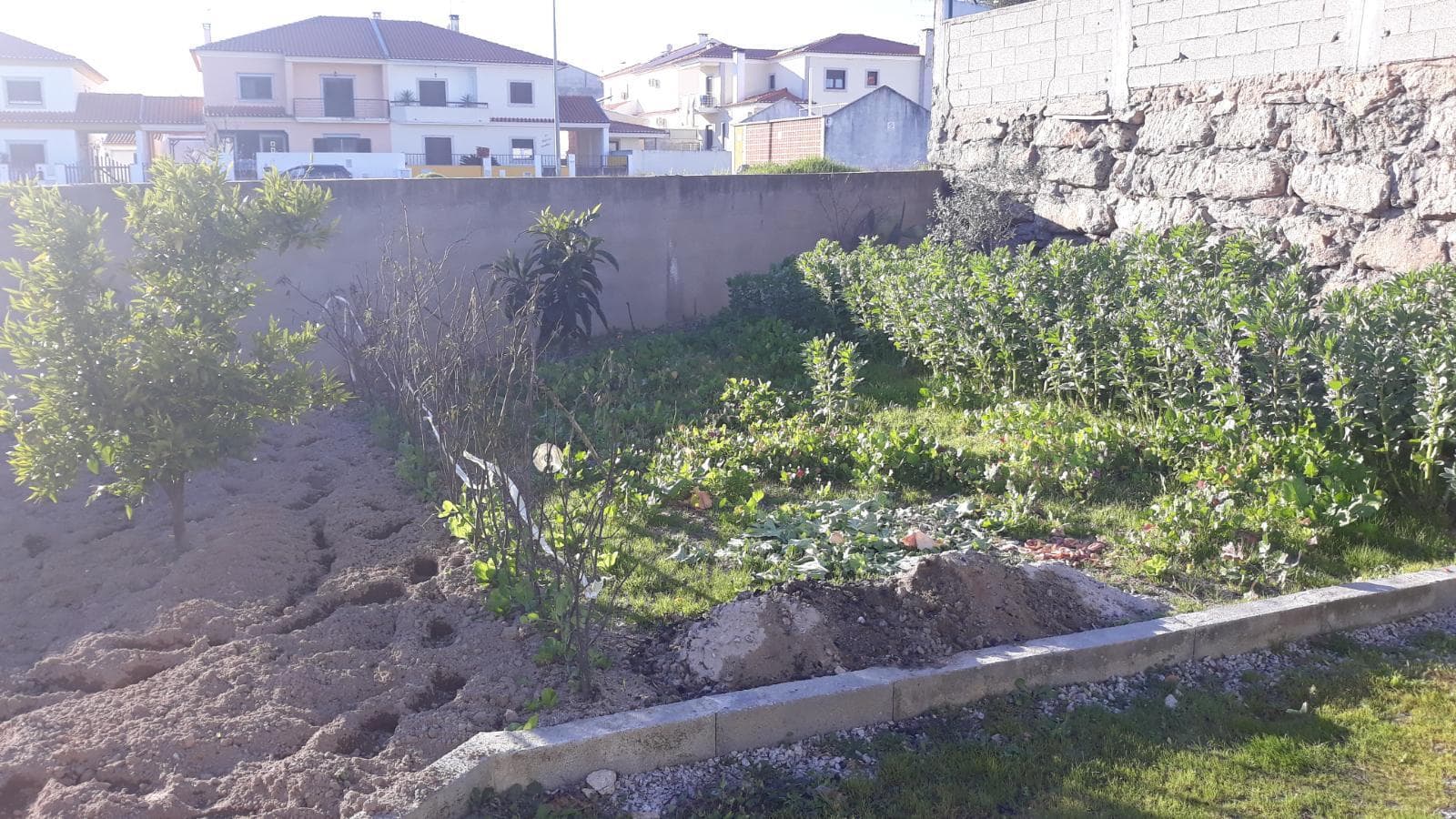 Moradia V2 · Castelo Branco — image 16