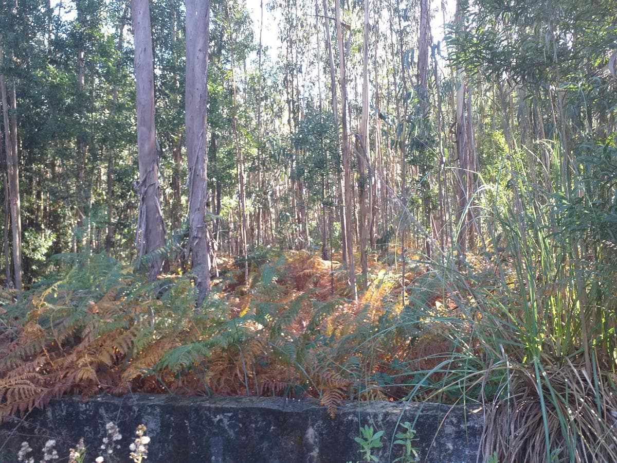 Terreno · Gondomar — imagen 2