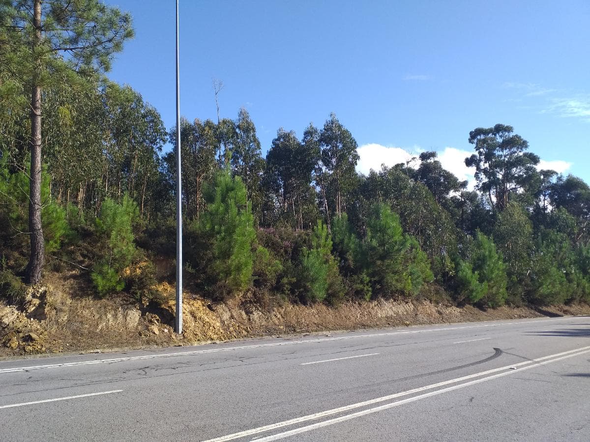 Terreno · Gondomar — imagen 3