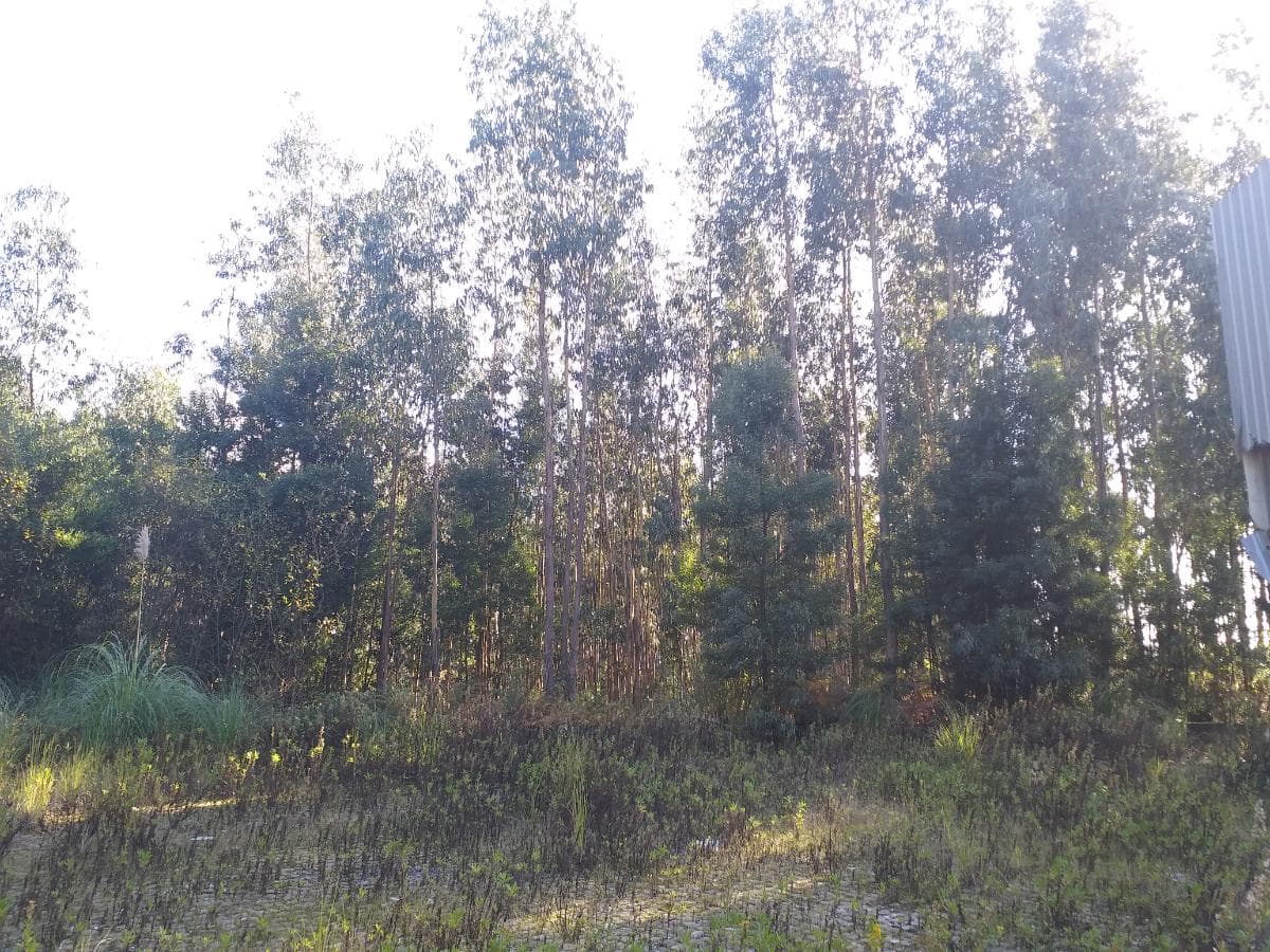 Terreno · Gondomar — imagen 4