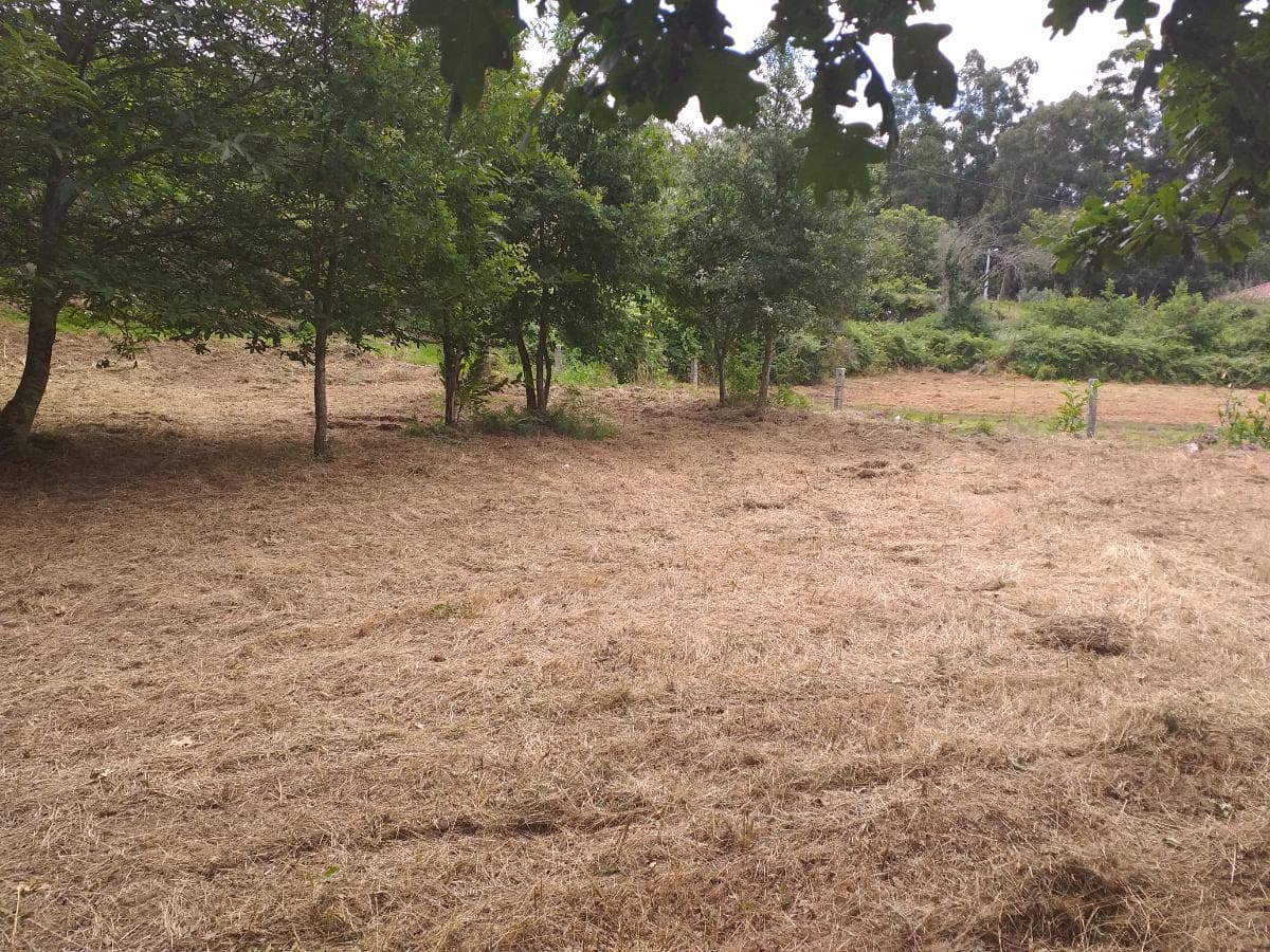 Terreno · Valença — imagen 2
