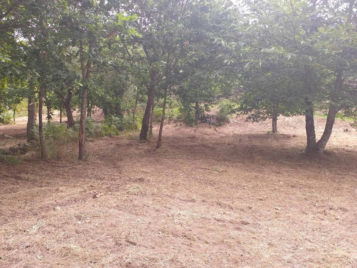 Terreno · Valença — imagen 4