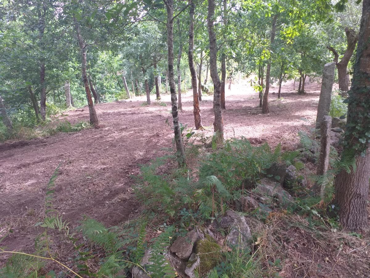 Terreno · Valença — imagen 5