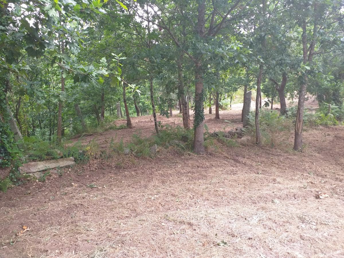 Terreno · Valença — imagen 6