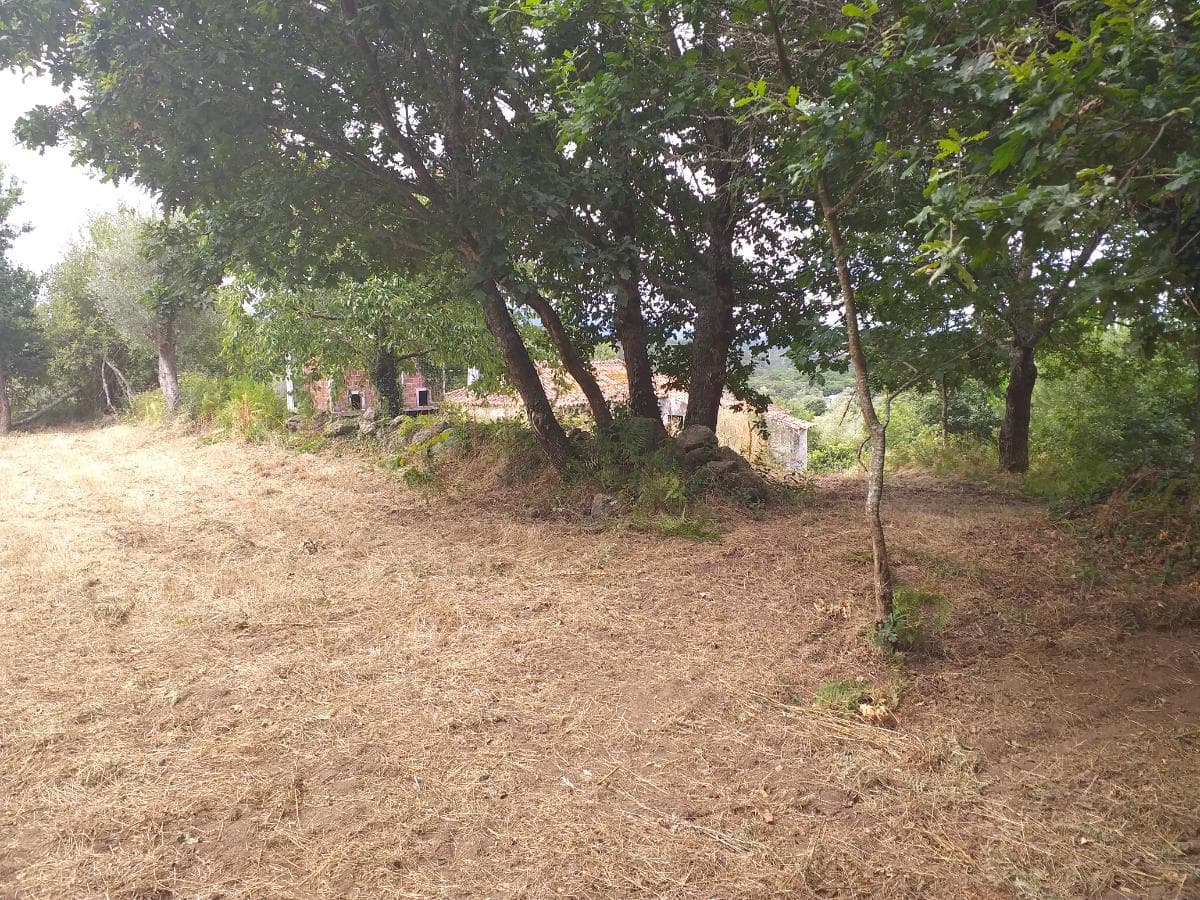 Terreno · Valença — imagen 7