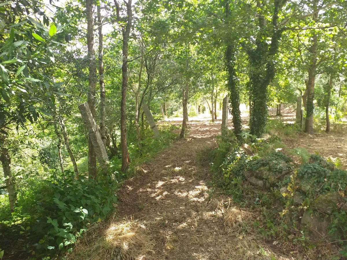 Terreno · Valença — imagen 8