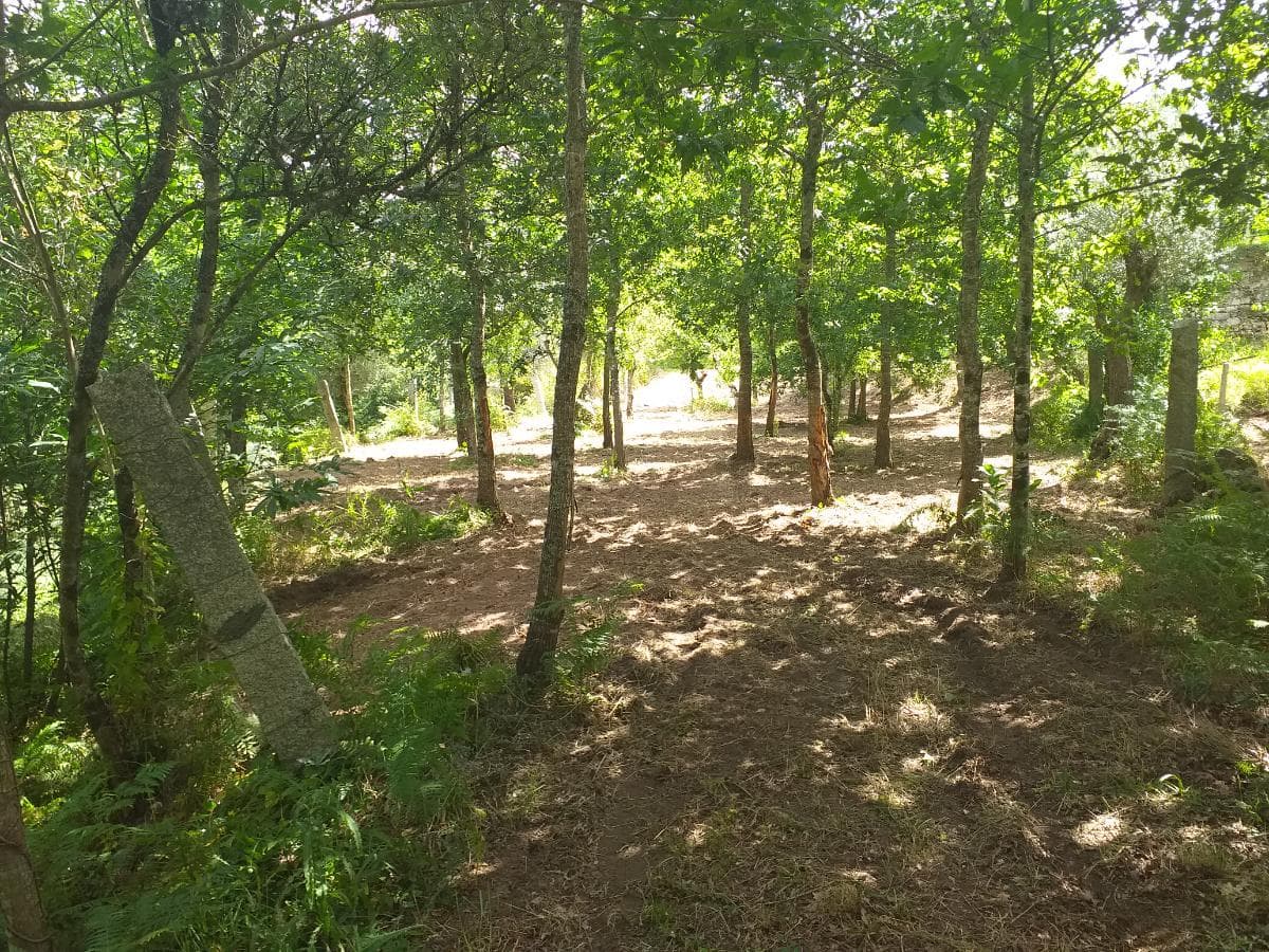 Terreno · Valença — imagen 9