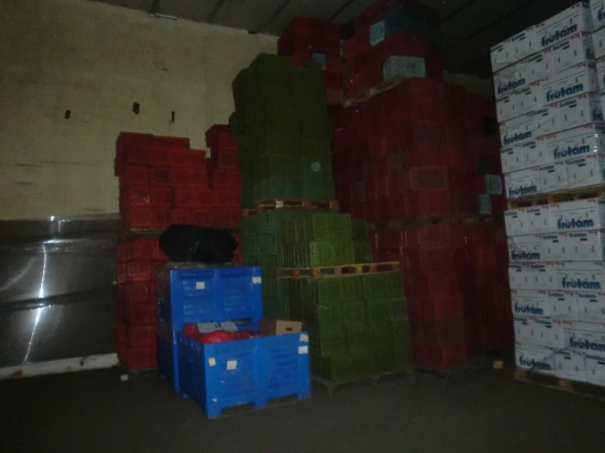Cestos Plásticos + Paletes de Madeiras + Caixas de Cartão — image 3