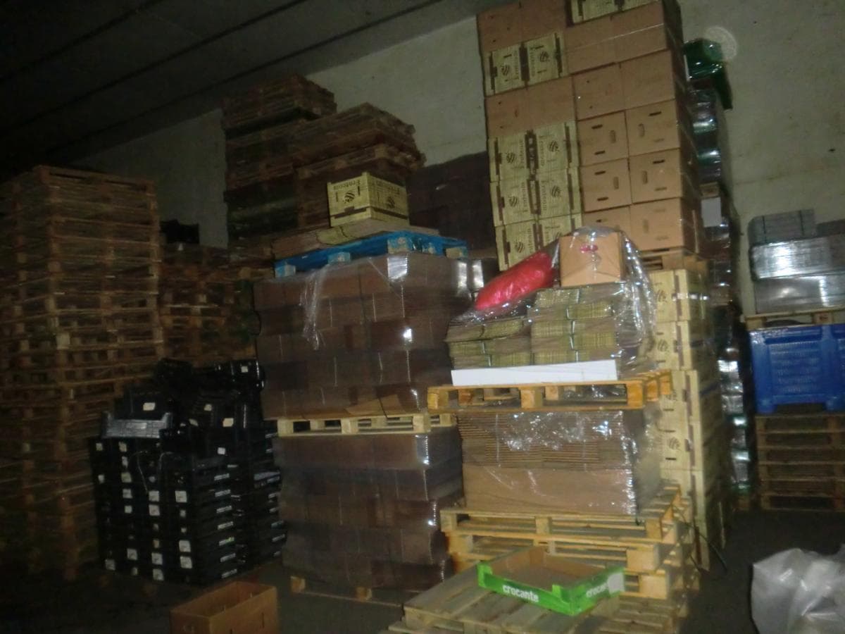 Cestos Plásticos + Paletes de Madeiras + Caixas de Cartão — image 7