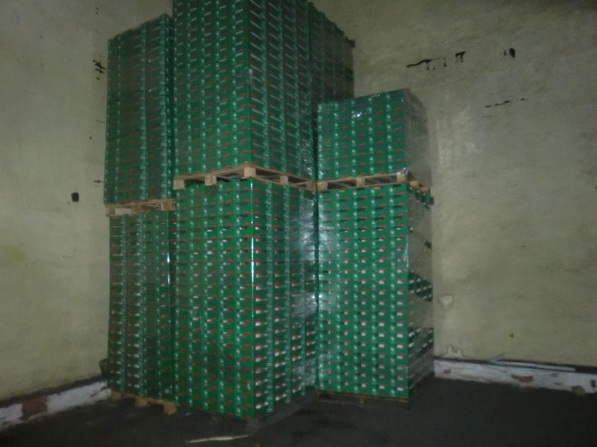 Cestos Plásticos + Paletes de Madeiras + Caixas de Cartão — image 10