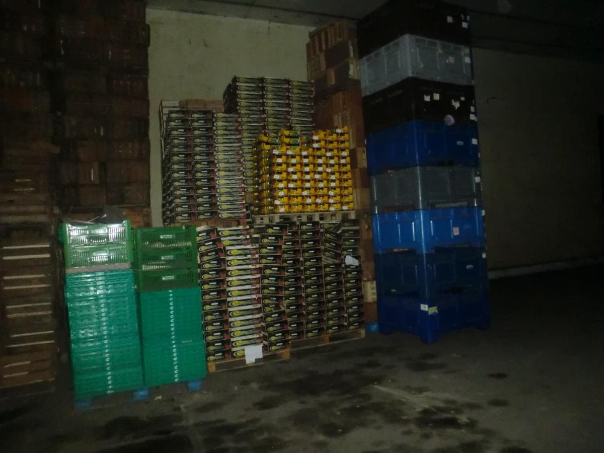 Cestos Plásticos + Paletes de Madeiras + Caixas de Cartão — image 11