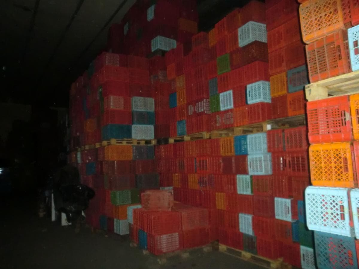Cestos Plásticos + Paletes de Madeiras + Caixas de Cartão — image 2