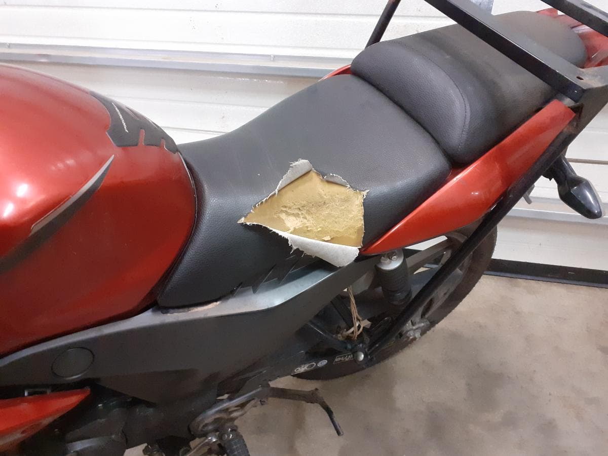 Honda CBF 125 · Año 2014 — imagen 6
