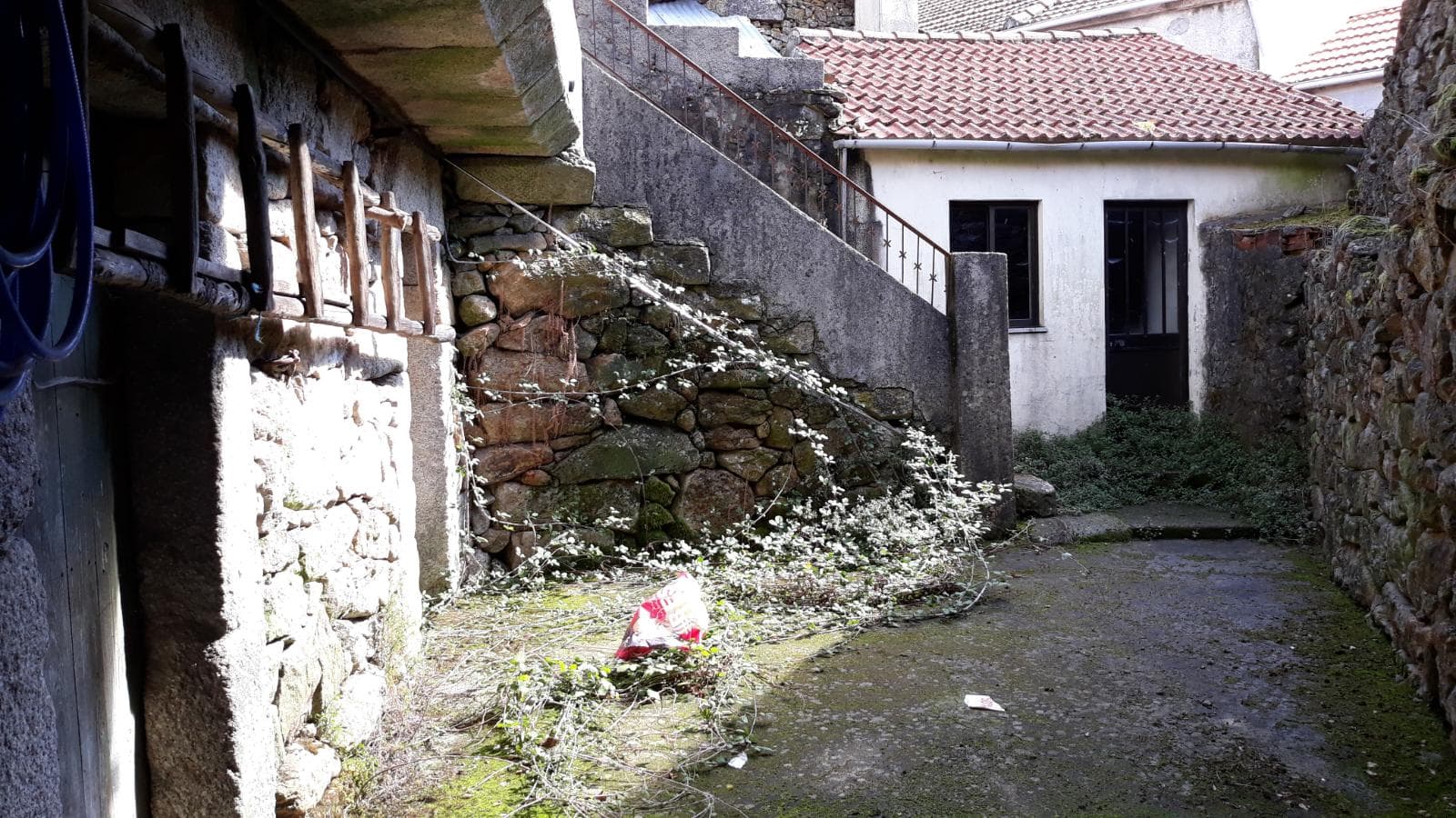Moradia V3 · Moimenta da Beira — imagem 10