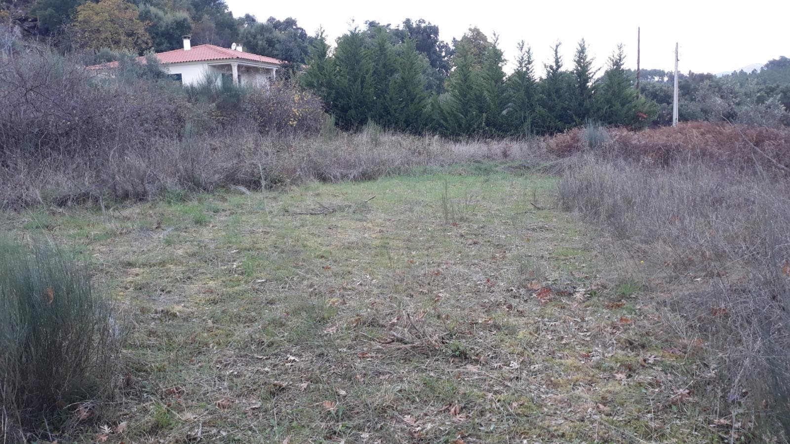 Quinhão Hereditário · Moimenta da Beira — imagem 3