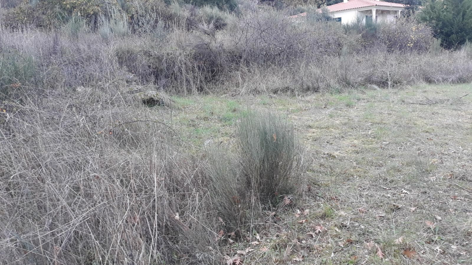 Quinhão Hereditário · Moimenta da Beira — imagem 6