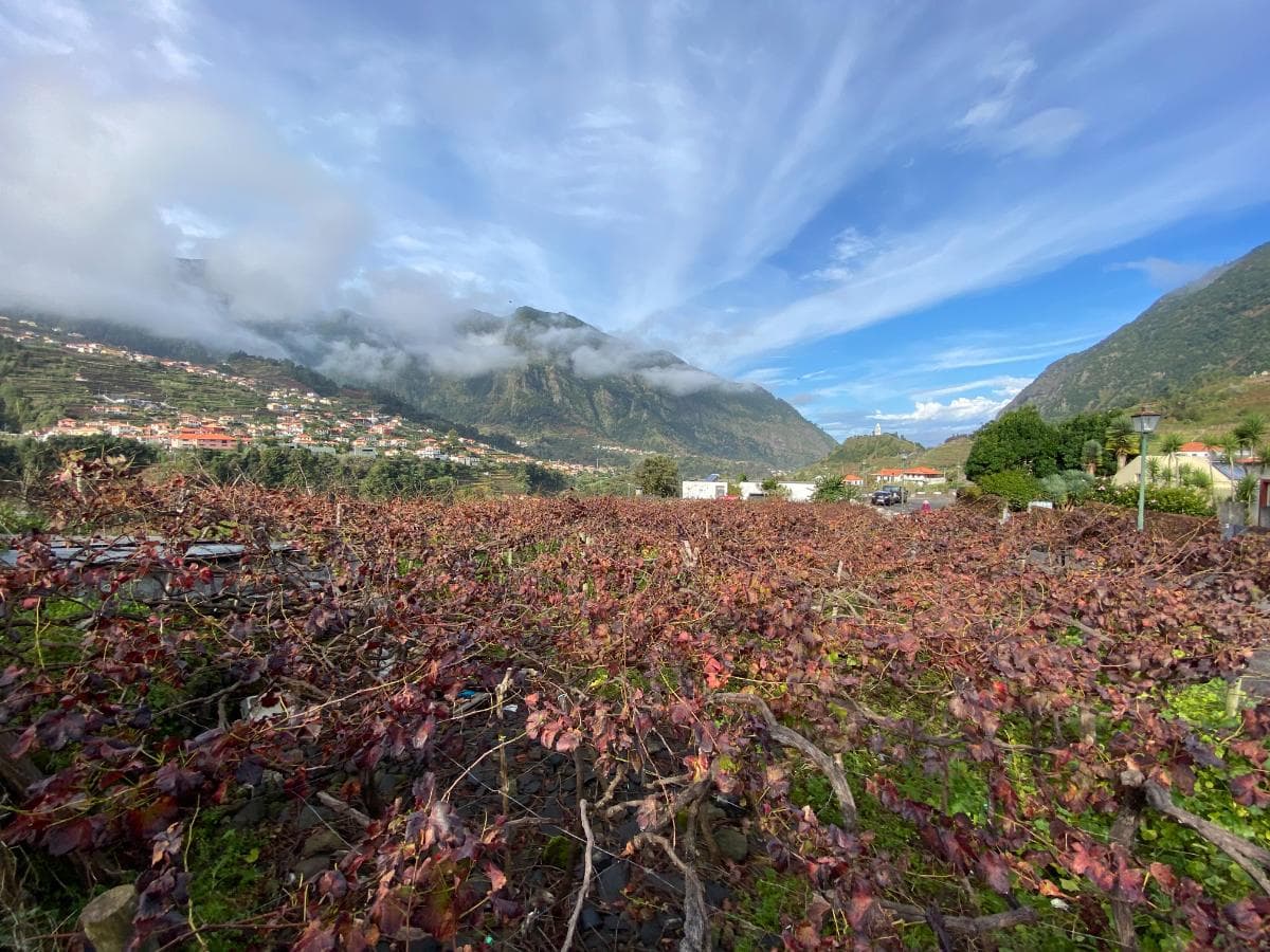 Proporção de 1/2 de Terreno · São Vicente — imagem 1