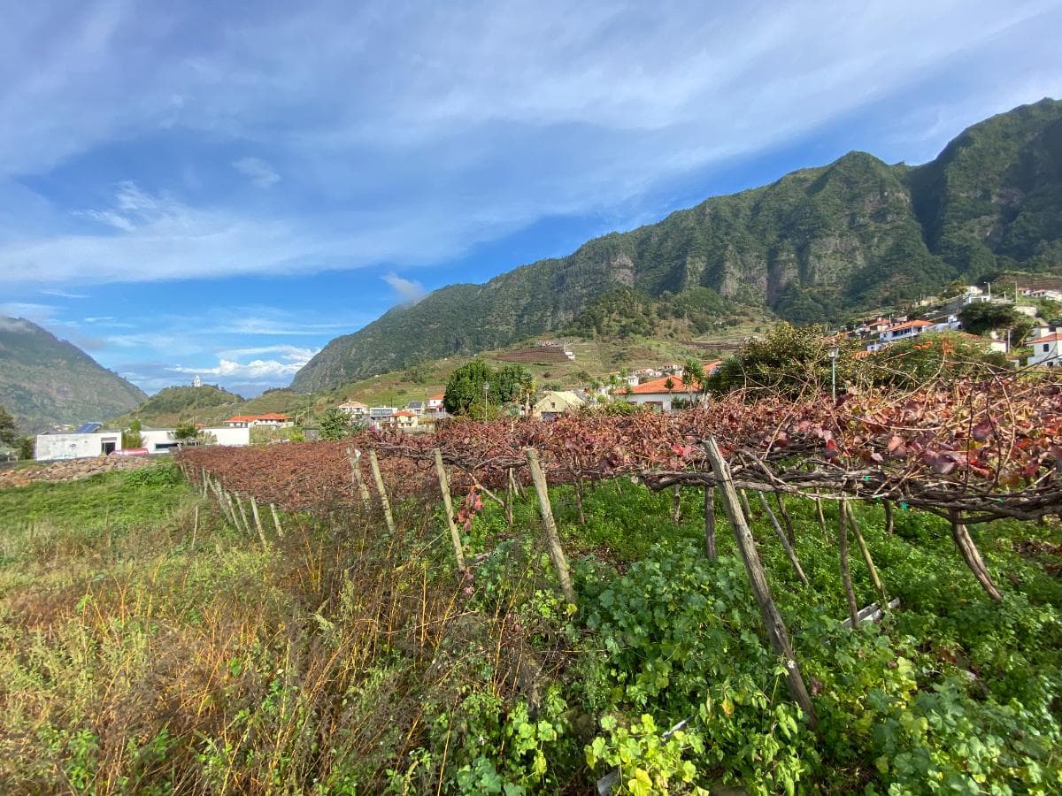 Proporção de 1/2 de Terreno · São Vicente — imagem 4