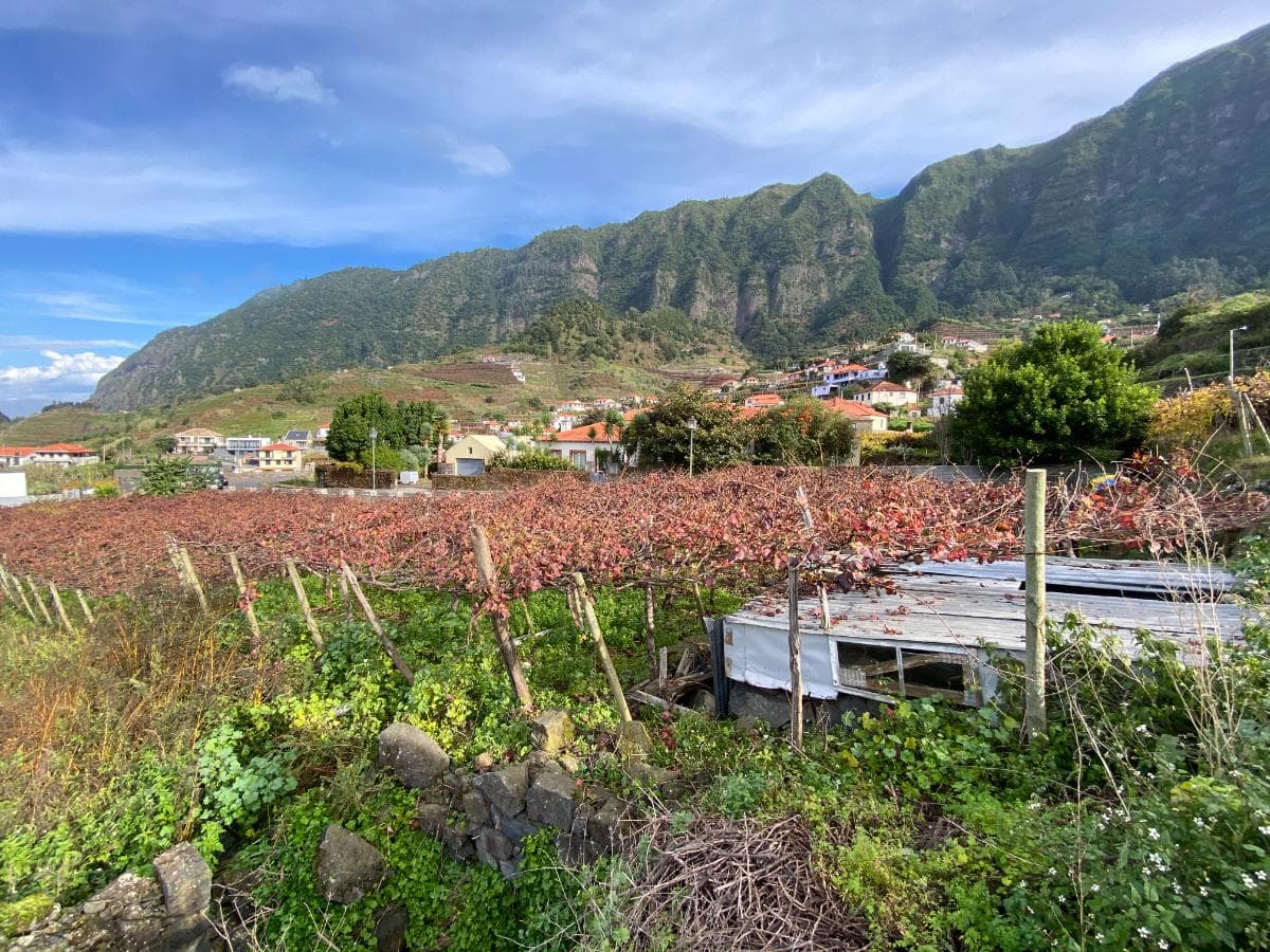 Proporção de 1/2 de Terreno · São Vicente — imagem 5