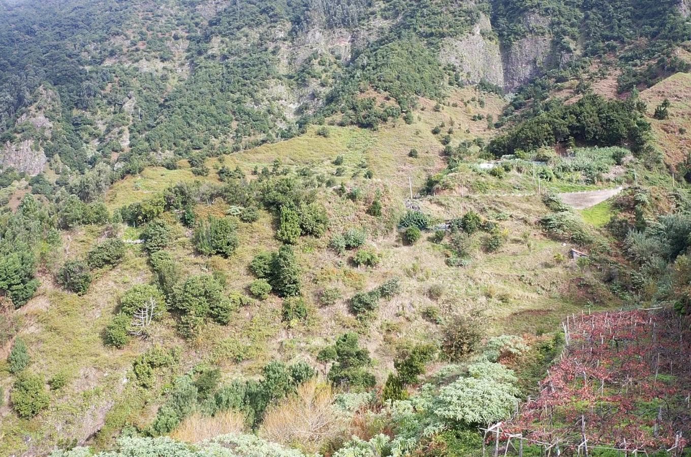 Terrenos · São Vicente — imagen 8