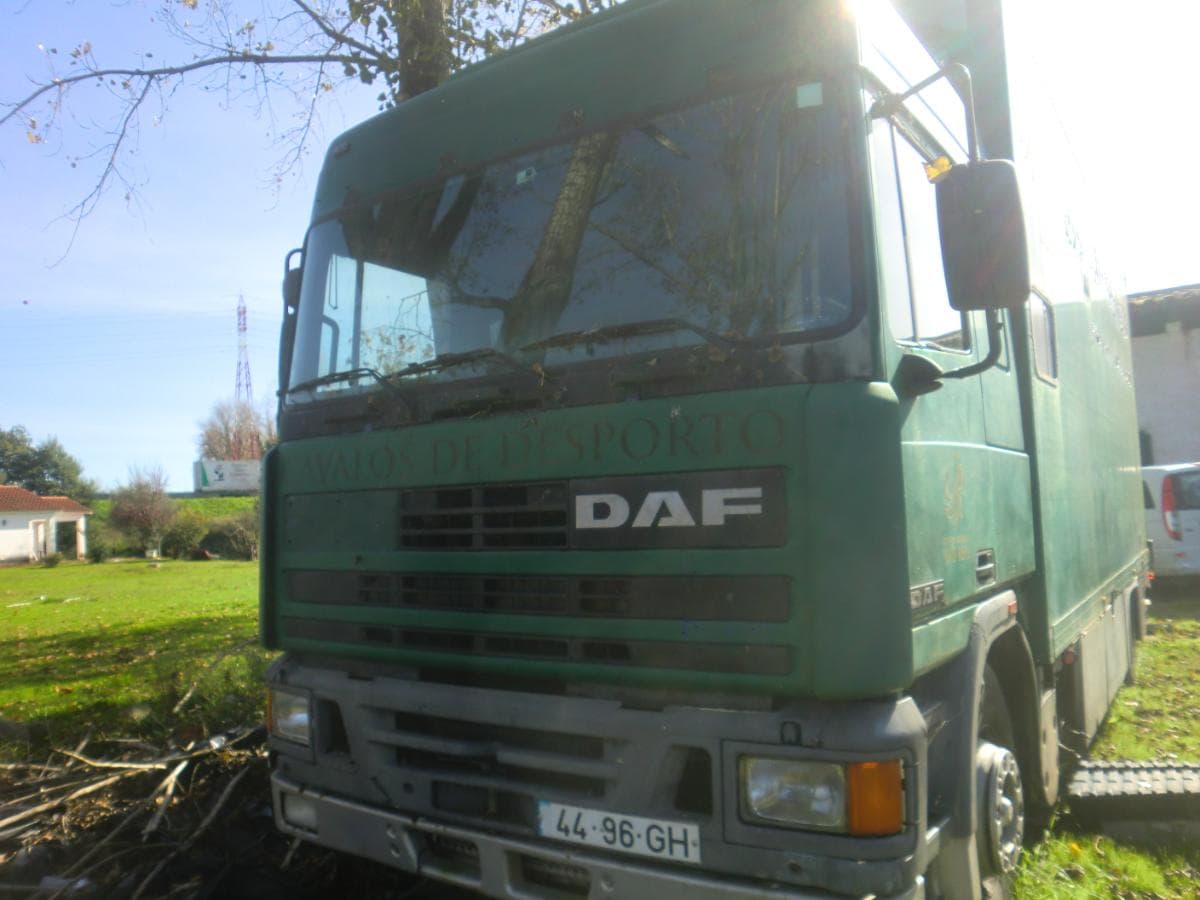 DAF — imagem 3
