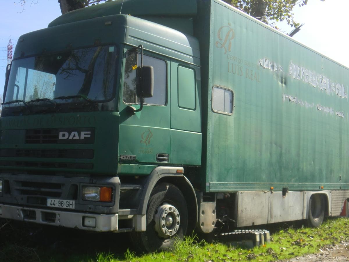 DAF — imagem 1