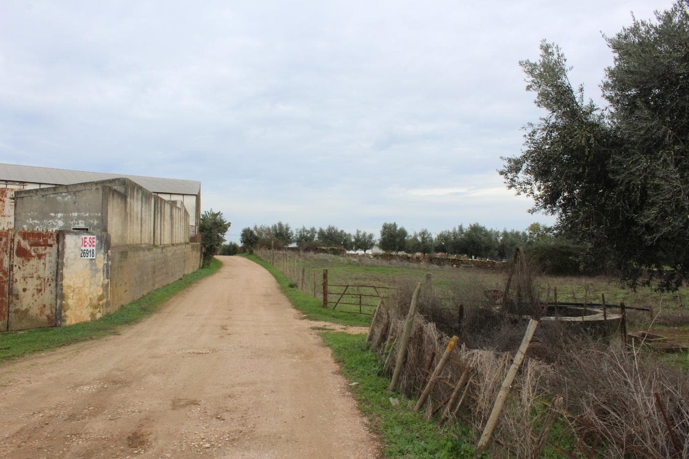 Armazém · Estremoz — imagem 5