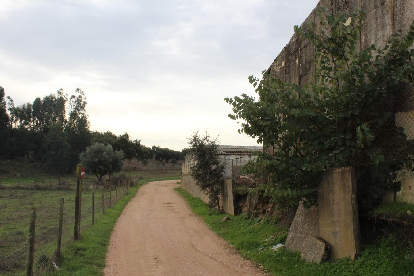 Armazém · Estremoz — imagem 6