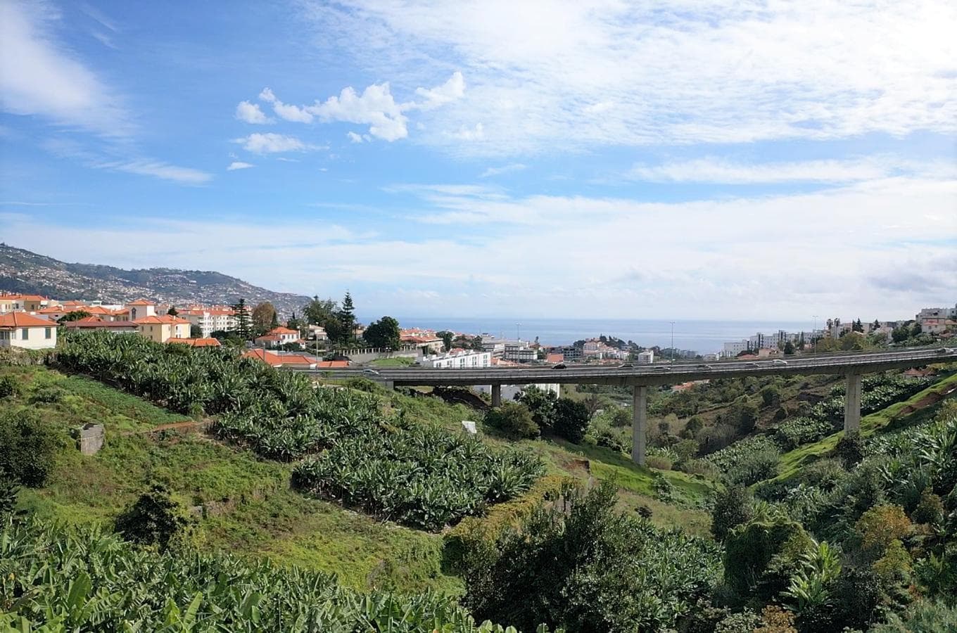 Terreno com Viabilidade Construtiva · Funchal — imagen 10